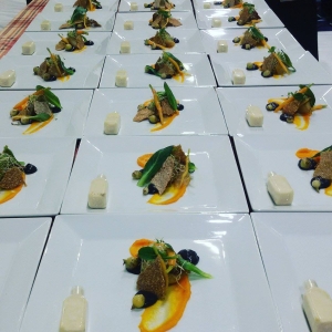 12891571_257650337905474_5621571567669195534_o